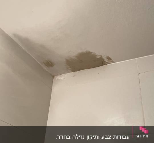 כתם רטיבות על תקרה וקיר לבן